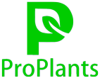 ProPlants Kimberley Logo H110